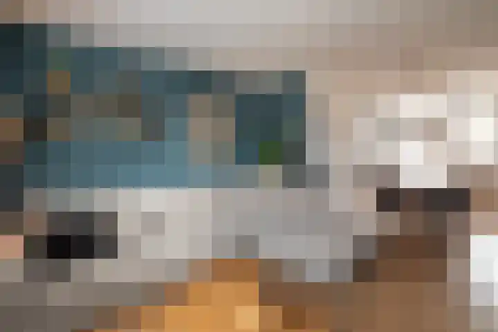Koolmees 137 Ridderkerk thumbnail 5
