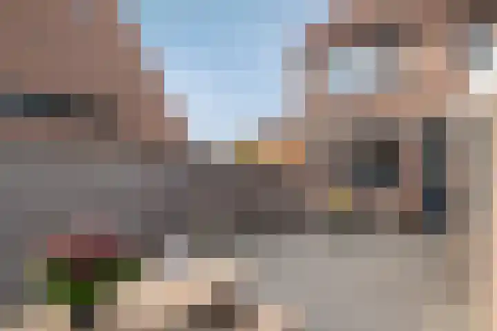 Koolmees 137 Ridderkerk thumbnail 9