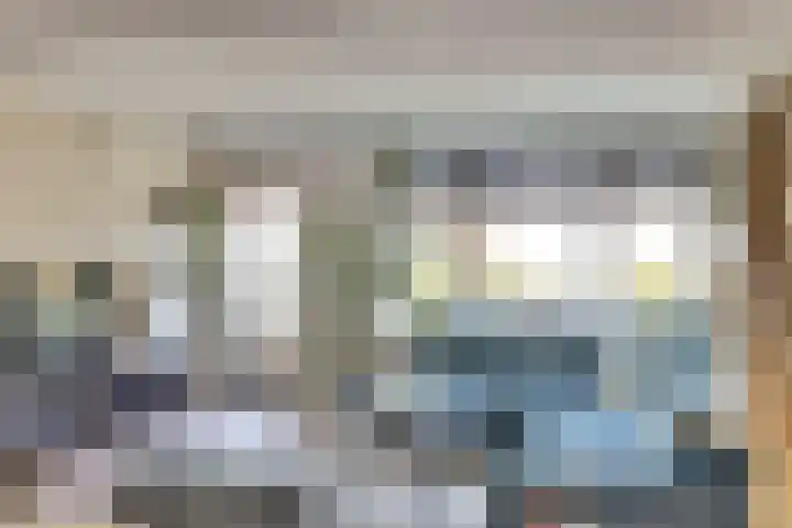 Koolmees 15 De Lier thumbnail 15