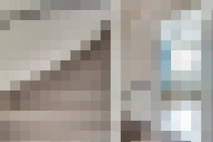 Koolmees 15 De Lier thumbnail 19