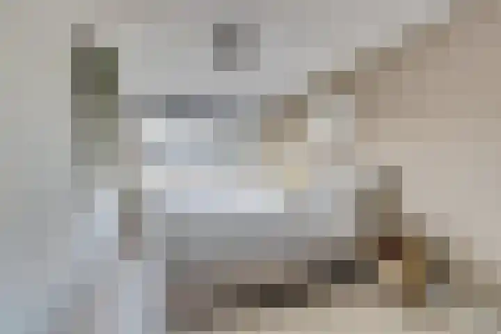 Koolmees 15 De Lier thumbnail 20