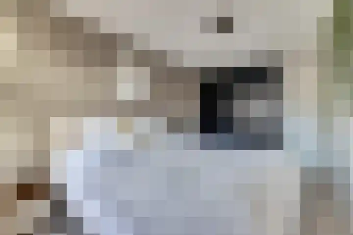 Koolmees 15 De Lier thumbnail 21