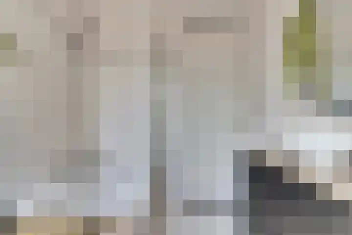 Koolmees 15 De Lier thumbnail 27