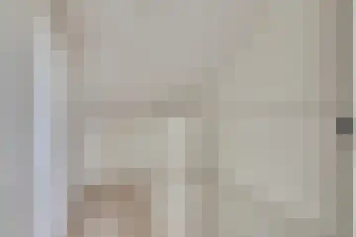 Koolmees 15 De Lier thumbnail 28
