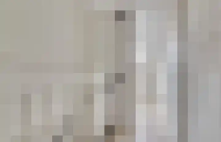 Koolmees 15 De Lier thumbnail 29