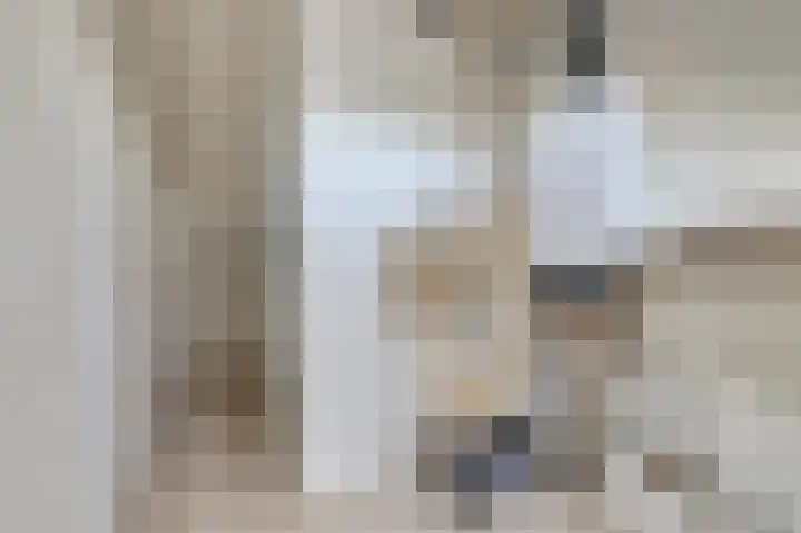 Koolmees 15 De Lier thumbnail 30