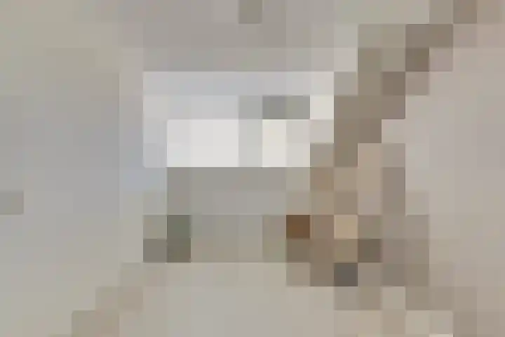Koolmees 15 De Lier thumbnail 31