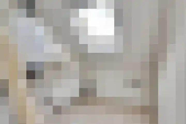 Koolmees 15 De Lier thumbnail 33