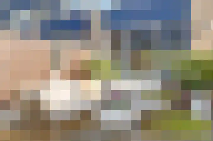 Koolmees 15 De Lier thumbnail 34