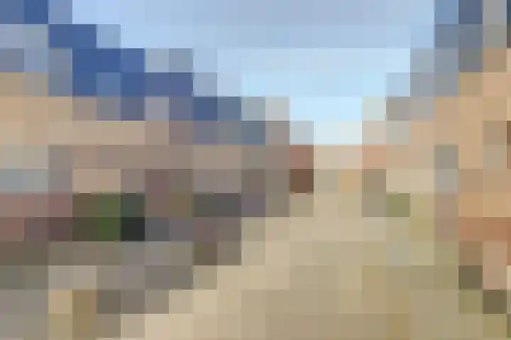 Koolmees 15 De Lier thumbnail 36