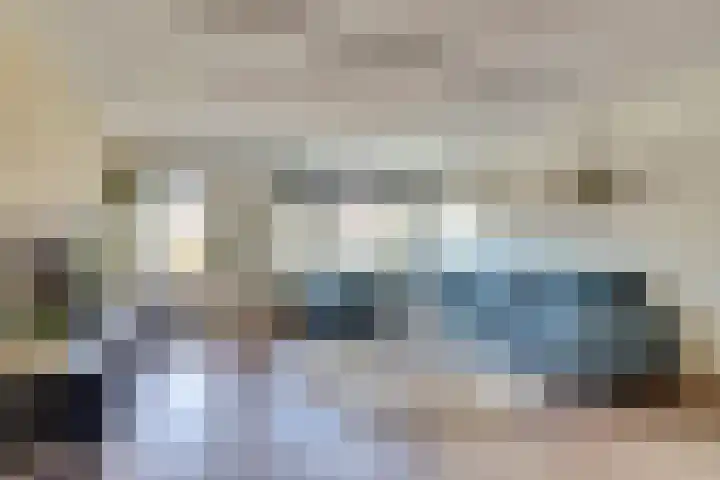 Koolmees 15 De Lier thumbnail 4