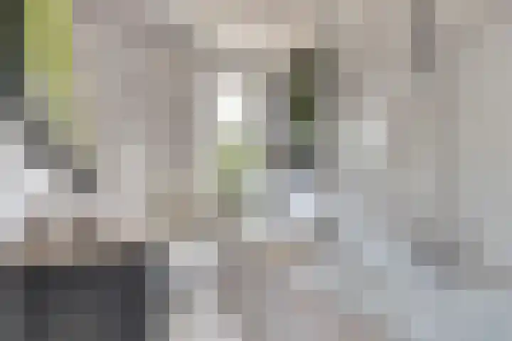 Koolmees 15 De Lier thumbnail 6