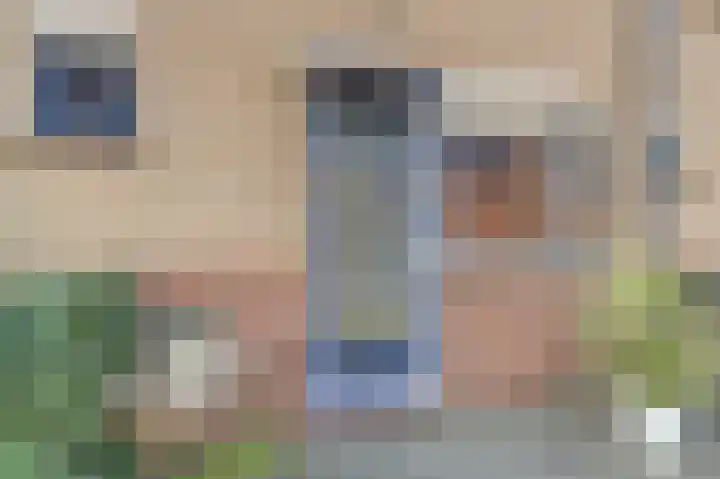 Koolmees 15 De Lier thumbnail 7