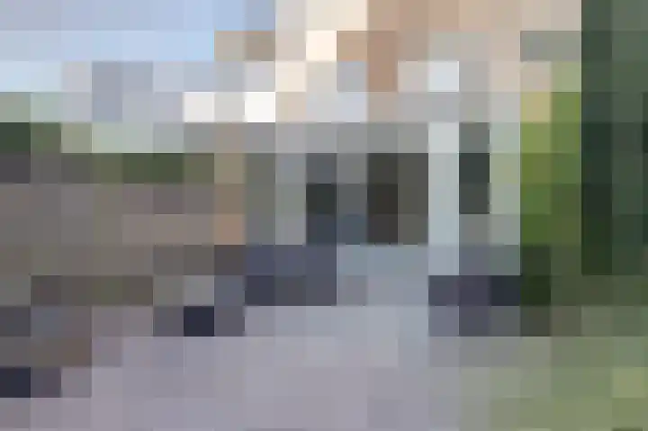 Koolmees 18 in De Lier