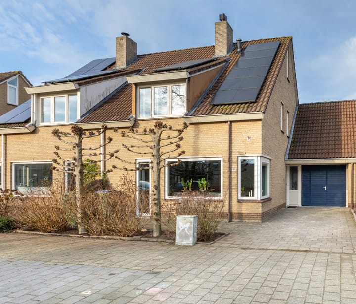 Koolmees 33 in Breda foto