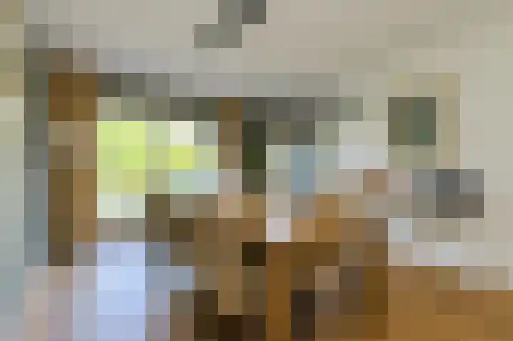 Koolmees 49 Breda thumbnail 11