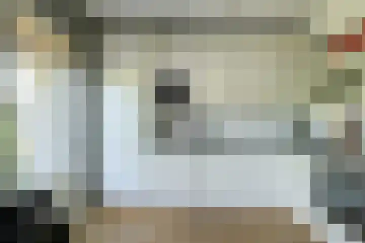 Koolmees 49 Breda thumbnail 13