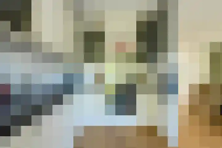 Koolmees 49 Breda thumbnail 14