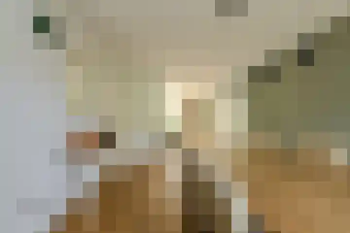 Koolmees 49 Breda thumbnail 16