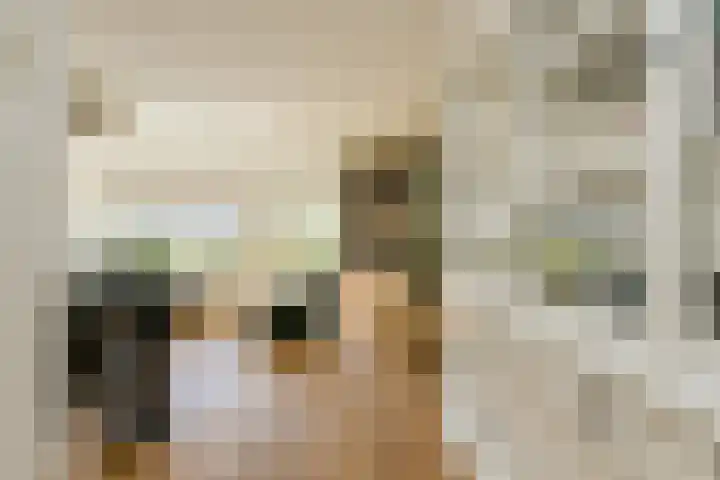 Koolmees 49 Breda thumbnail 17