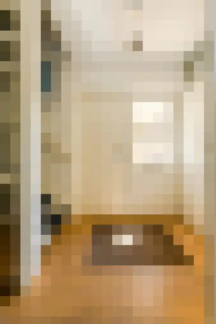 Koolmees 49 Breda thumbnail 18