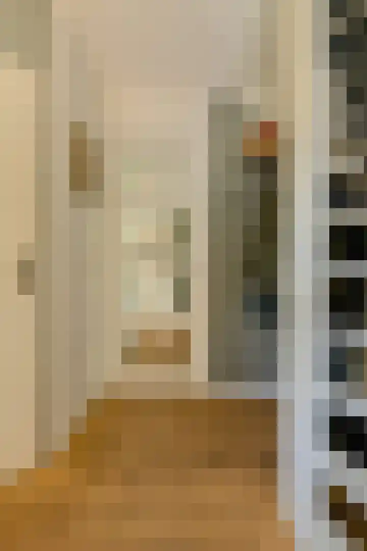 Koolmees 49 Breda thumbnail 20