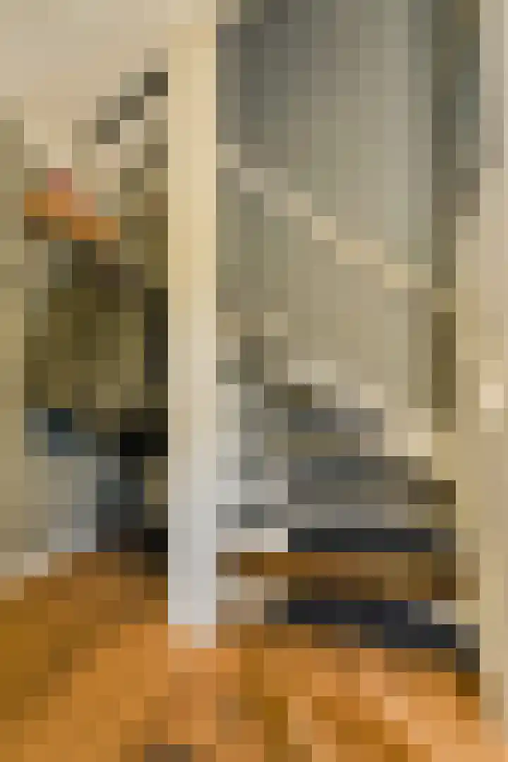 Koolmees 49 Breda thumbnail 21