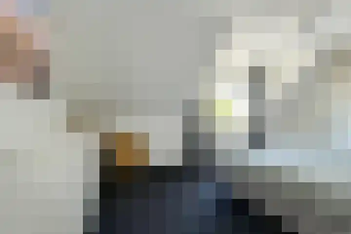 Koolmees 49 Breda thumbnail 22