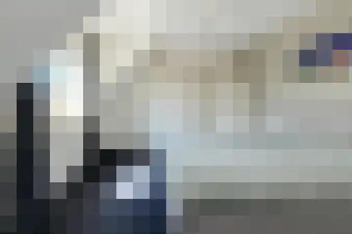 Koolmees 49 Breda thumbnail 23