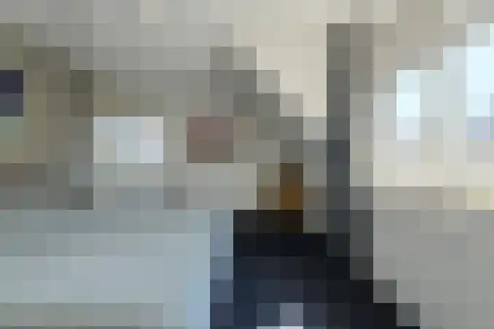Koolmees 49 Breda thumbnail 24