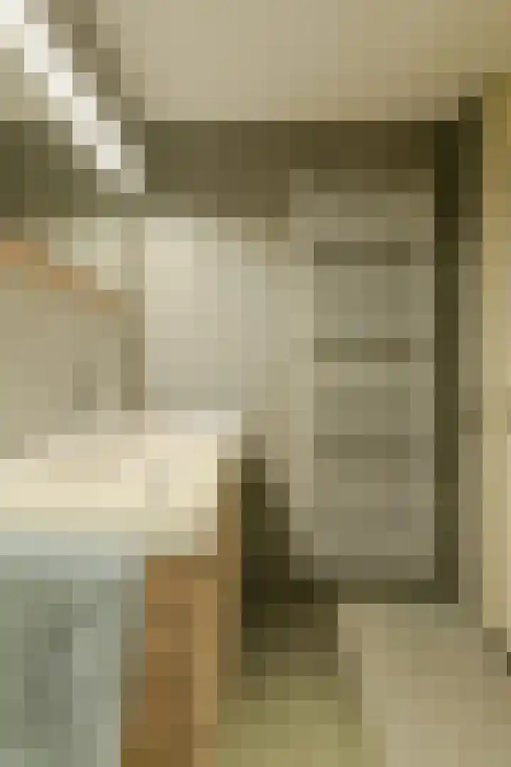 Koolmees 49 Breda thumbnail 28