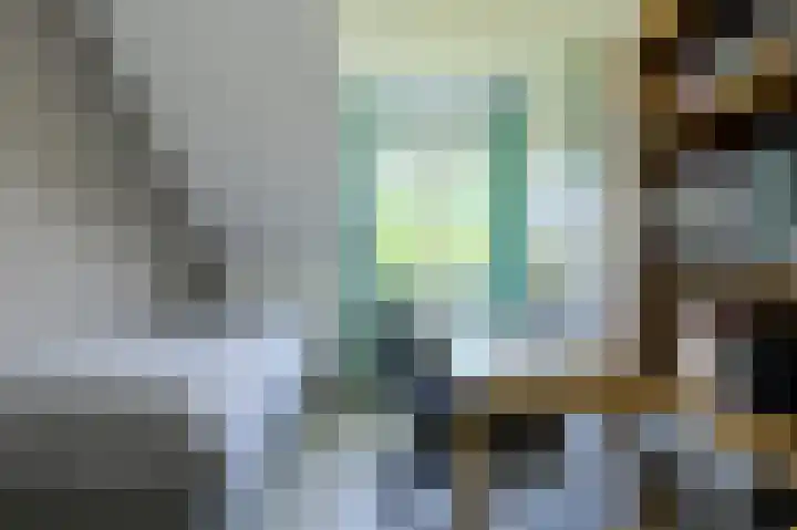 Koolmees 49 Breda thumbnail 29