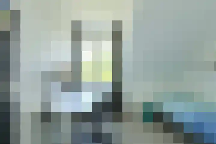 Koolmees 49 Breda thumbnail 31