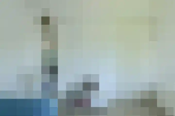 Koolmees 49 Breda thumbnail 32