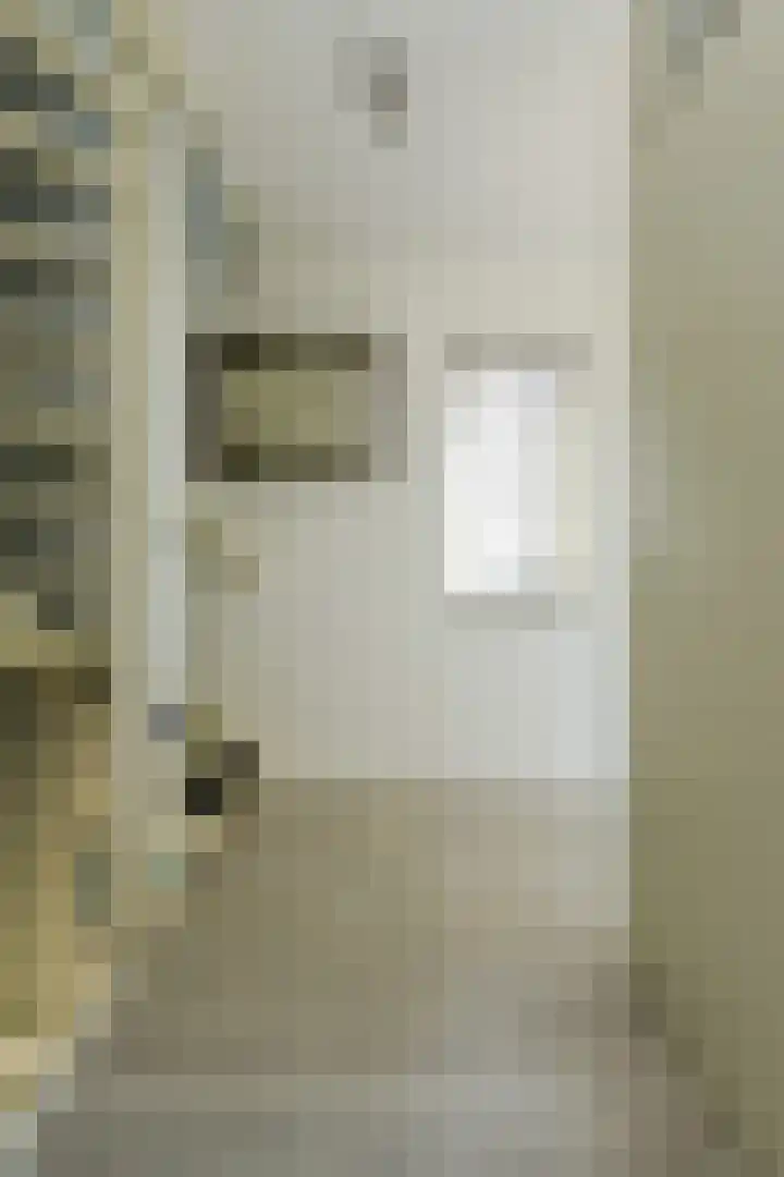 Koolmees 49 Breda thumbnail 33