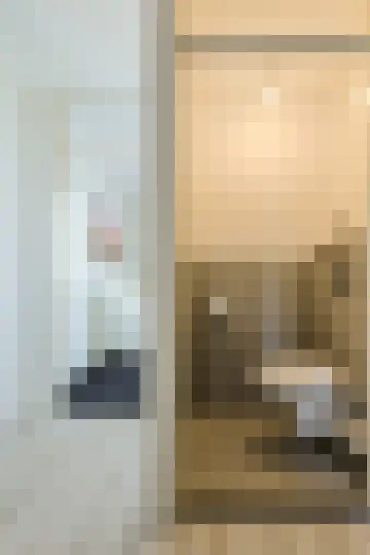 Koolmees 49 Breda thumbnail 34