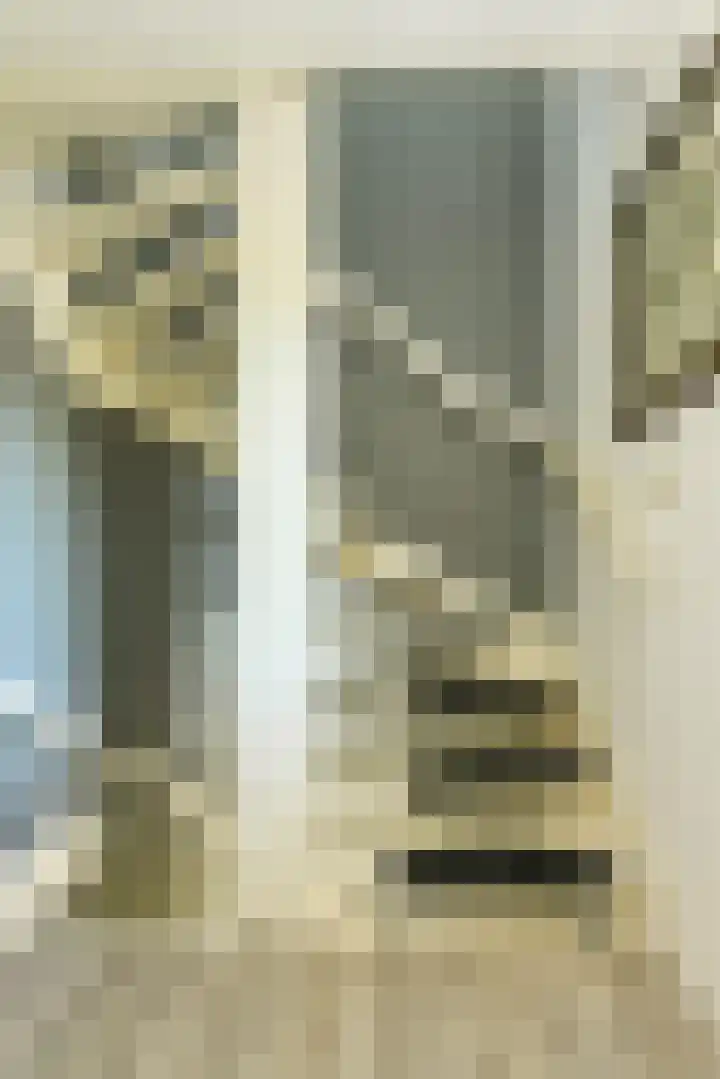 Koolmees 49 Breda thumbnail 35