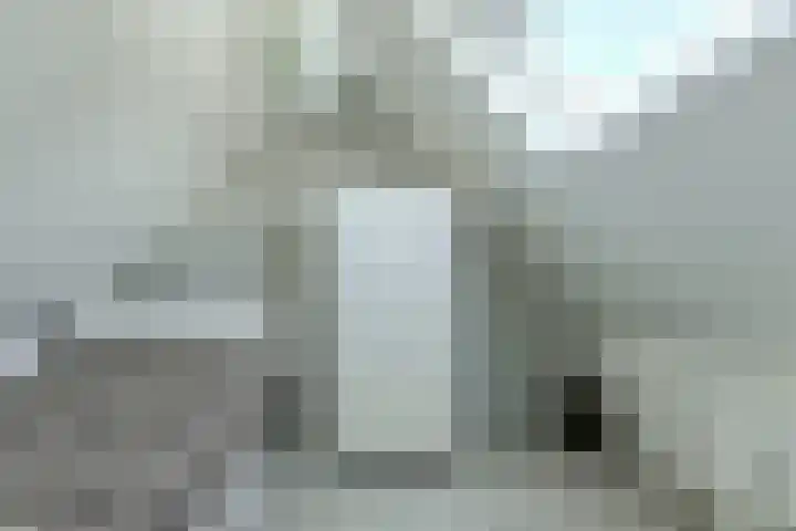 Koolmees 49 Breda thumbnail 36