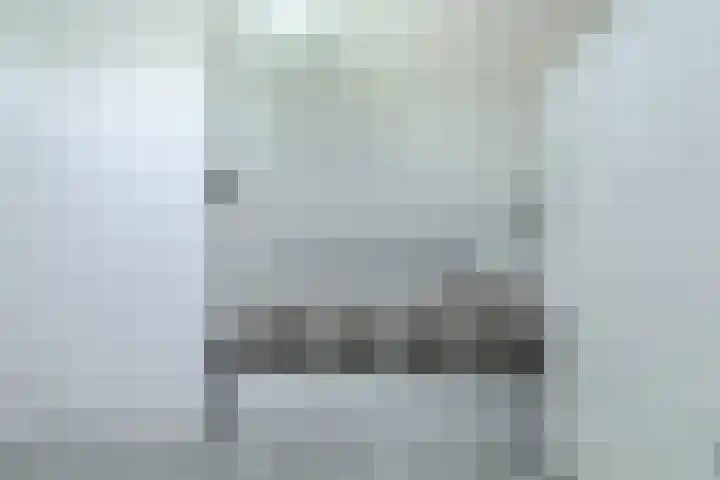 Koolmees 49 Breda thumbnail 37
