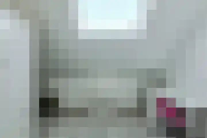 Koolmees 49 Breda thumbnail 38