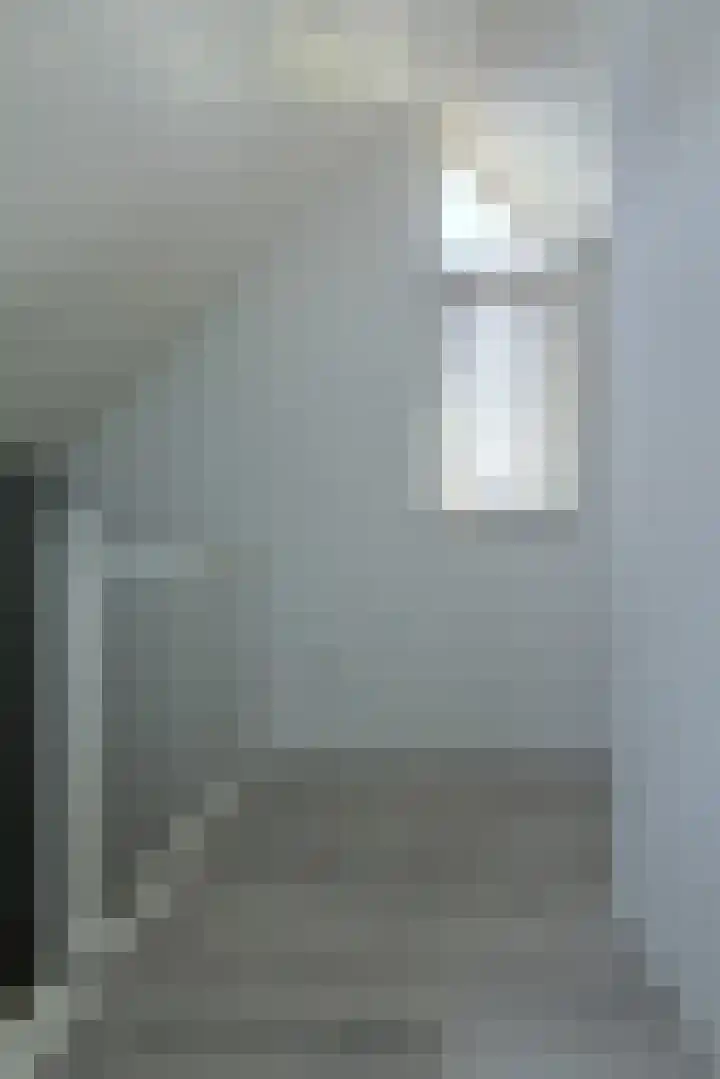 Koolmees 49 Breda thumbnail 39