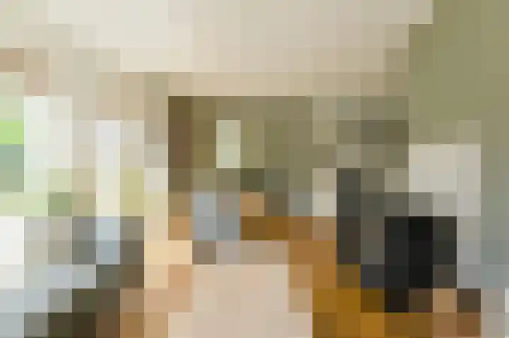 Koolmees 49 Breda thumbnail 4