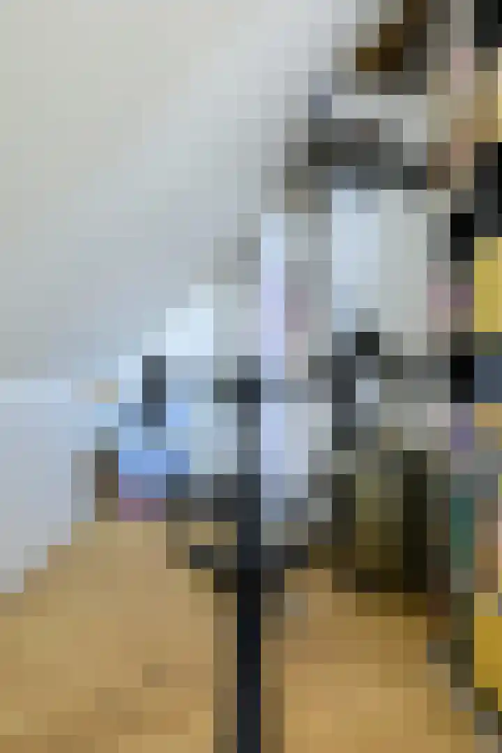 Koolmees 49 Breda thumbnail 40