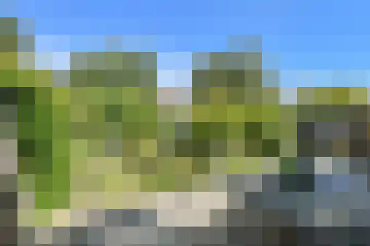 Koolmees 49 Breda thumbnail 41