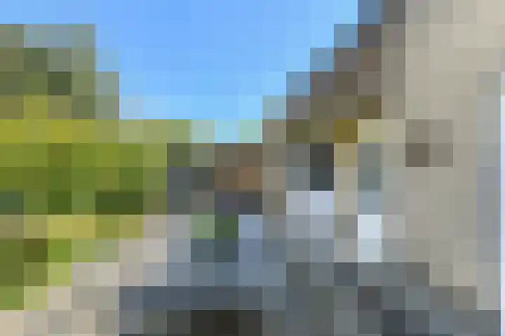 Koolmees 49 Breda thumbnail 42