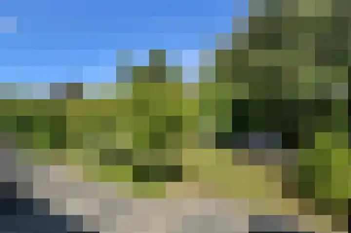 Koolmees 49 Breda thumbnail 43
