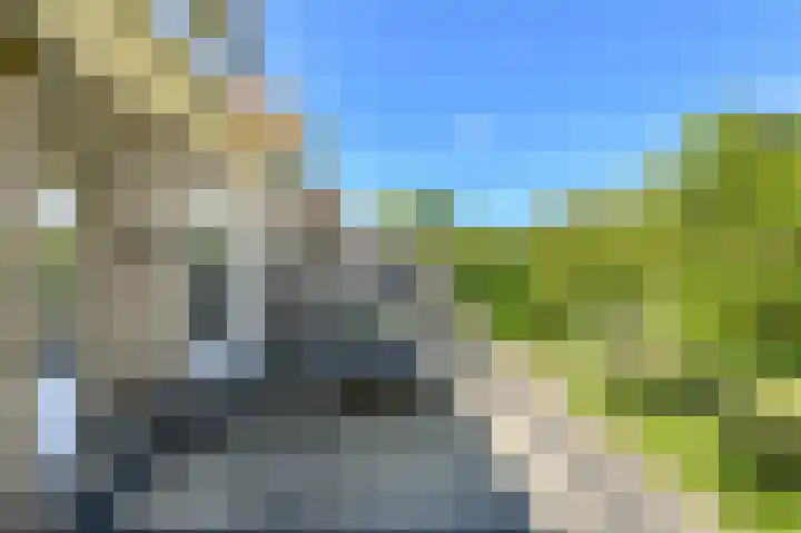 Koolmees 49 Breda thumbnail 44