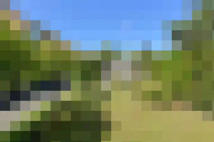Koolmees 49 Breda thumbnail 45