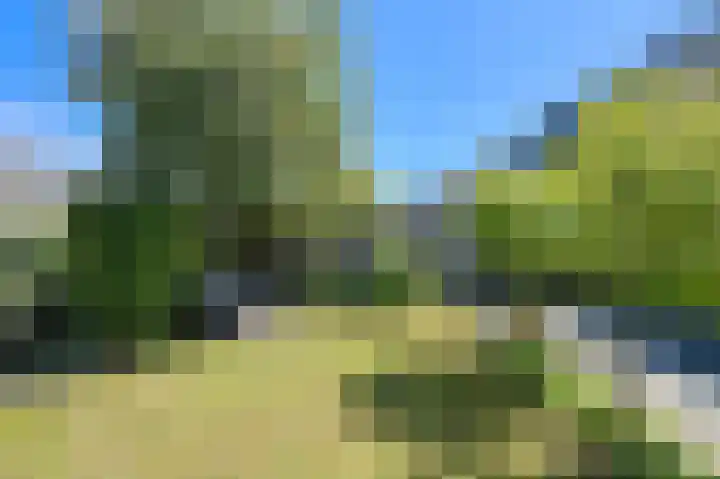 Koolmees 49 Breda thumbnail 46