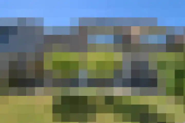 Koolmees 49 Breda thumbnail 47